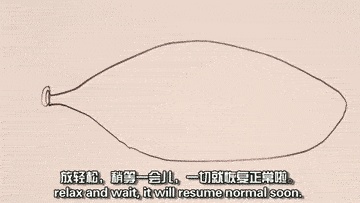 性教育缺失的根源,性教育缺失引发的惨案