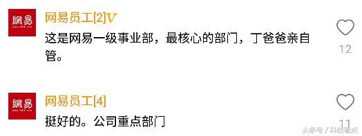 网易农业部养猪是真的吗？平头哥王兴不裁员你信吗？