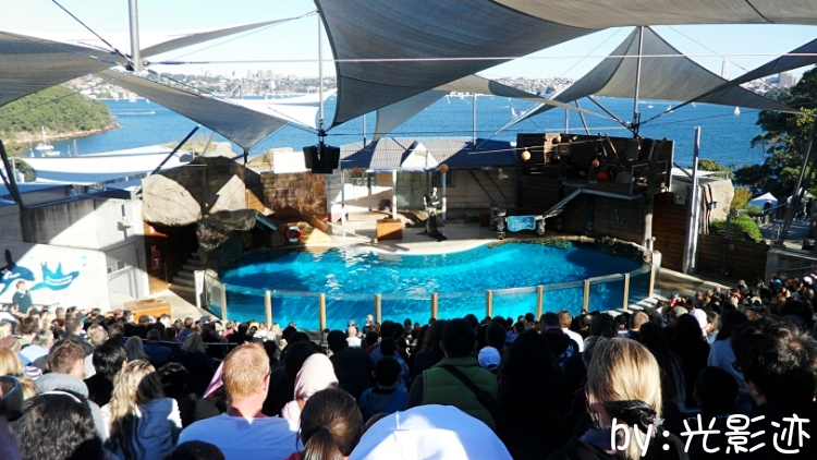 澳洲旅游必去动物园,澳洲动物园游记