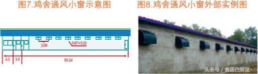 四川鸡场鸡舍怎么搭建最好图片,鸡舍建造全过程详解