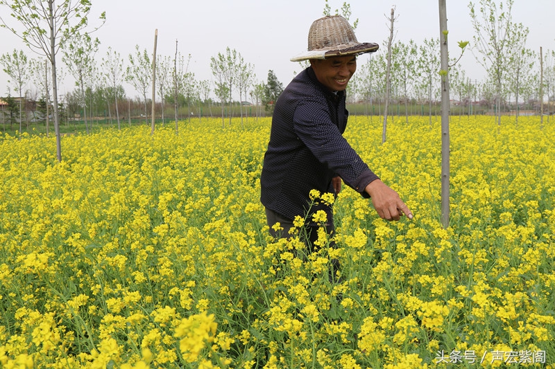 河北石家庄赵县武建波父子两代养蜂，赶花夺蜜一年难得回趟家