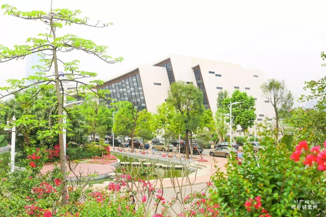 星海音乐学院行进,星海音乐学院声乐系颜值