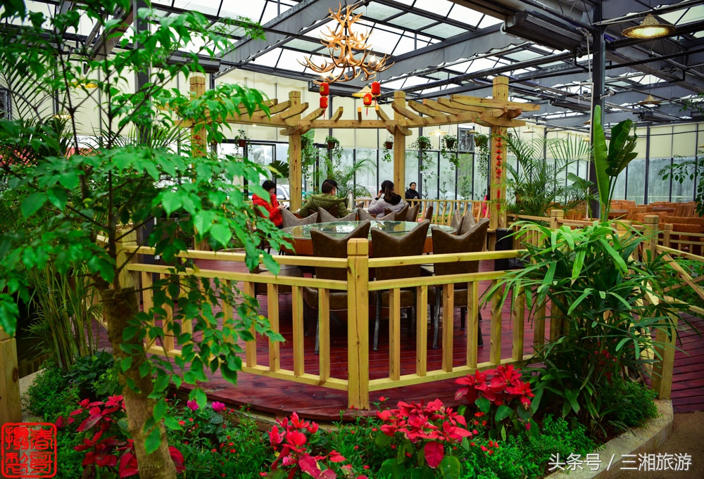 株洲生态休闲农庄生态餐饮,株洲野生鱼饭店