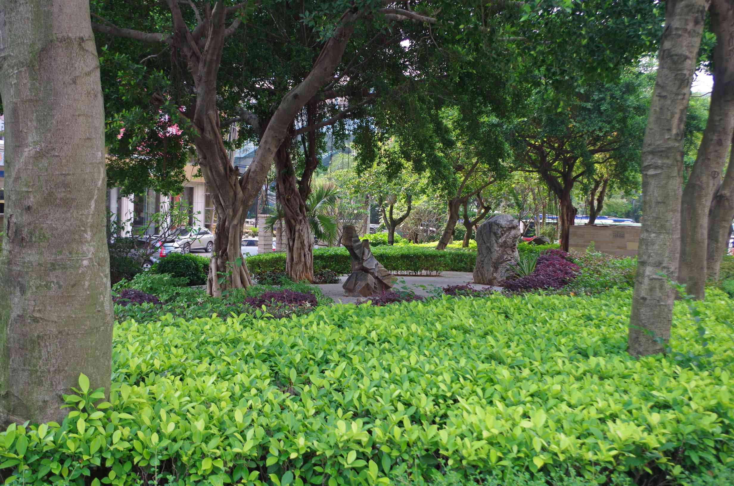 宾得k30图片,宾得k30样片