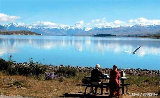 霍比特人在新西兰哪里,新西兰霍比特人