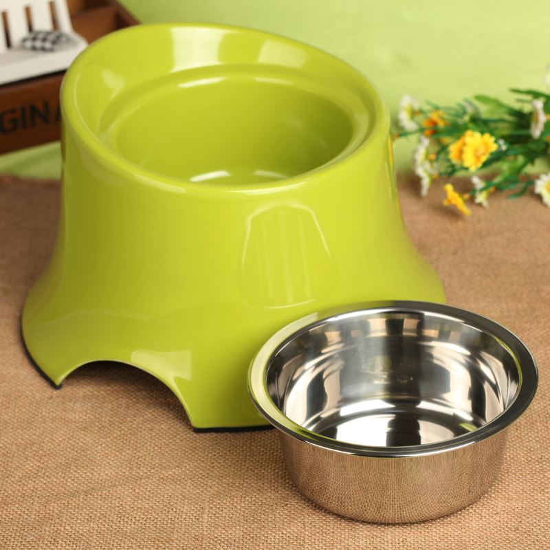 拉布拉多幼犬回家多久可以出门,拉布拉多小狗到新家注意事项