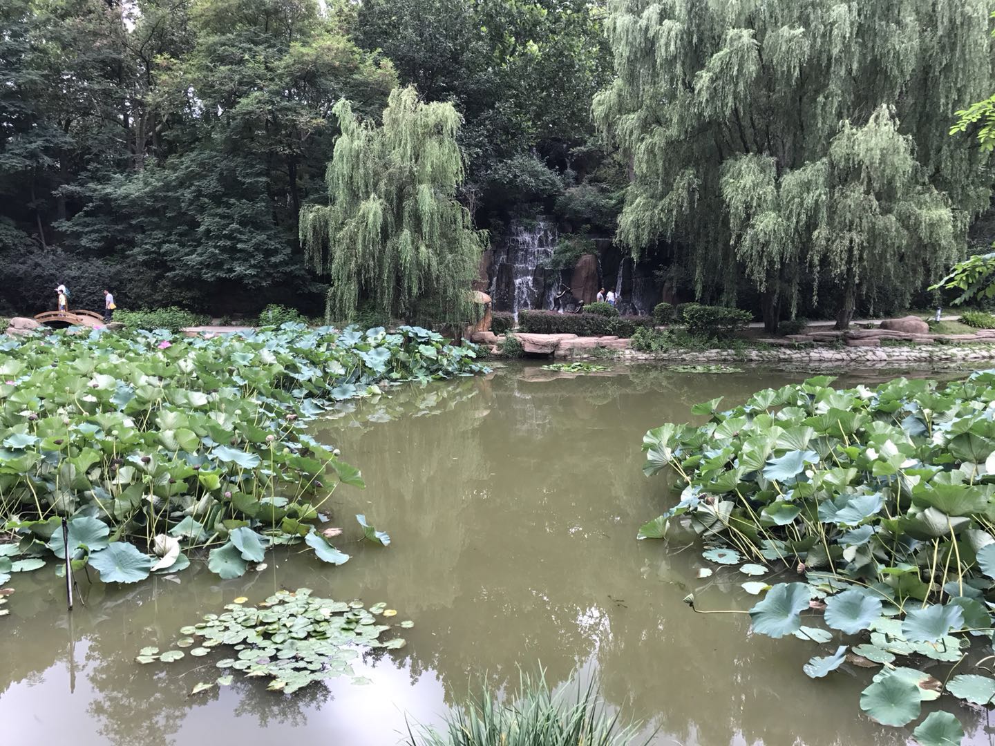 解酒效果很高的药,解酒护肝药物有用吗