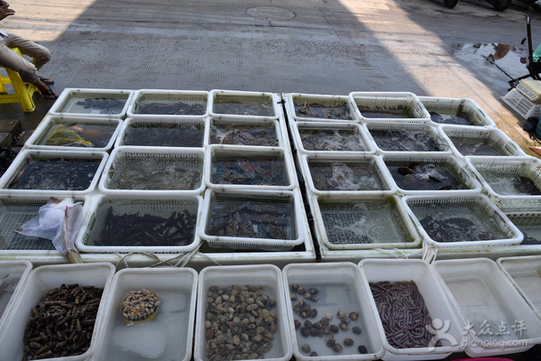 五一应季海鲜皮皮虾,又到了皮皮虾最肥美的季节