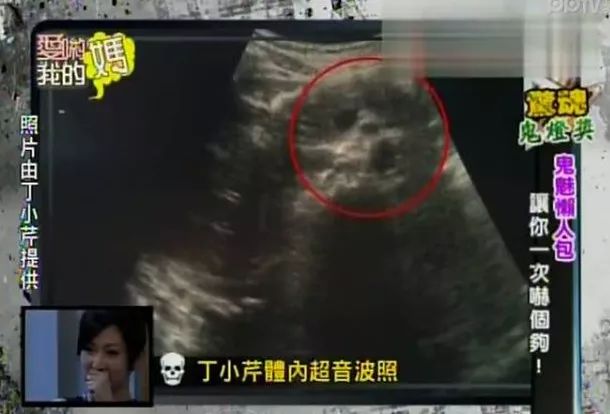 台湾骗艺人的女明星,台湾过气女星被骗2600万