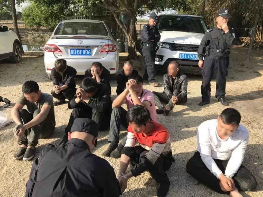 「独家」斗狗赌博案侦破实录丨什么的“游戏”让老人们如此疯狂？