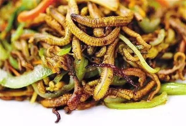 细长的白色水虫,东北小水虫