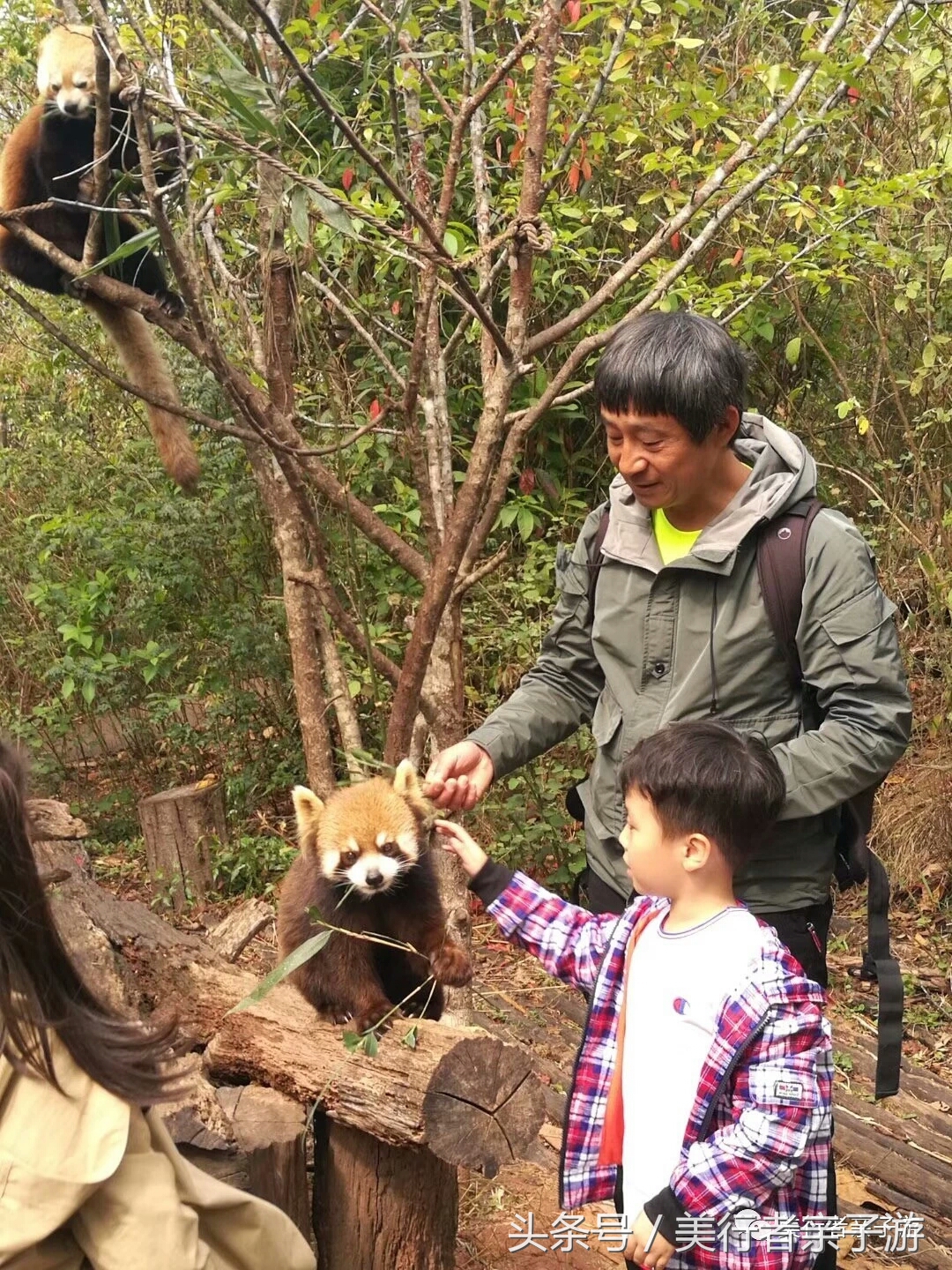 到版纳一定要体验一场泼水狂欢,云南景洪泼水节之旅