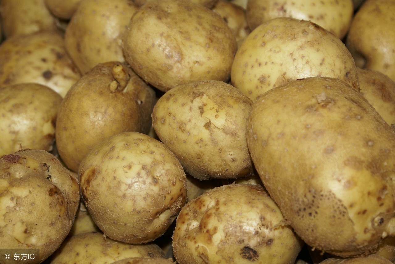 土豆行情为什么下降,土豆价格上涨销量不降的原因