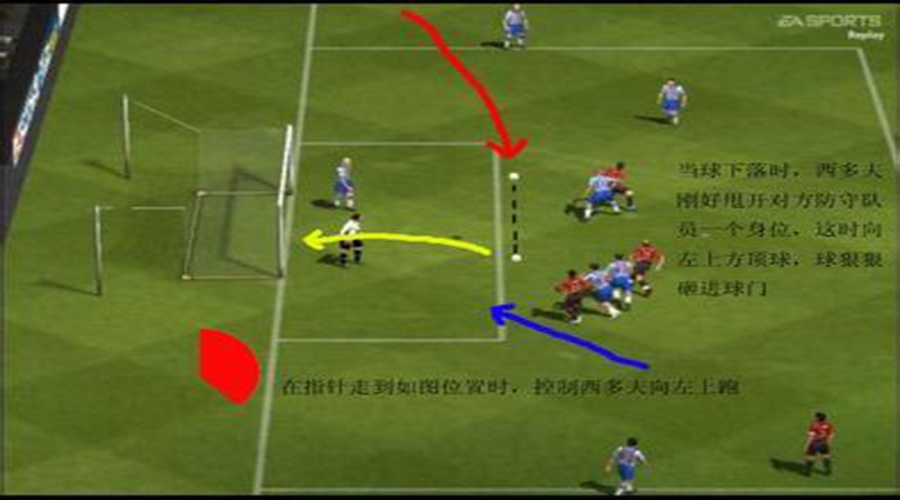 球迷基础知识100条,球迷的基本操作