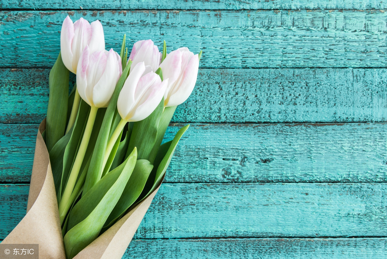 八卦卦象对照图表大全,奇门遁甲三奇六仪视频