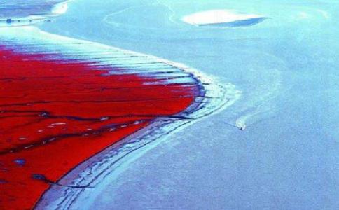 投资必须看清的大势,投资究竟要看明白什么才可以去做