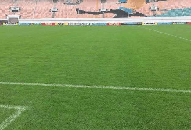 恒大目前状况对恒大足球场的影响,广州恒大主场草皮