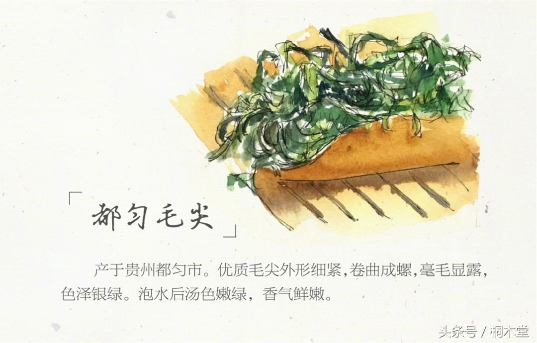 一张图读懂各种茶具,一张品茶实用图