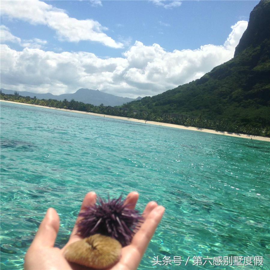 毛里求斯自助游攻略，带你玩转“非洲瑞士”