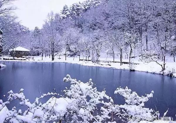 阿尔山泡温泉攻略,阿尔山矿泉疗养温泉