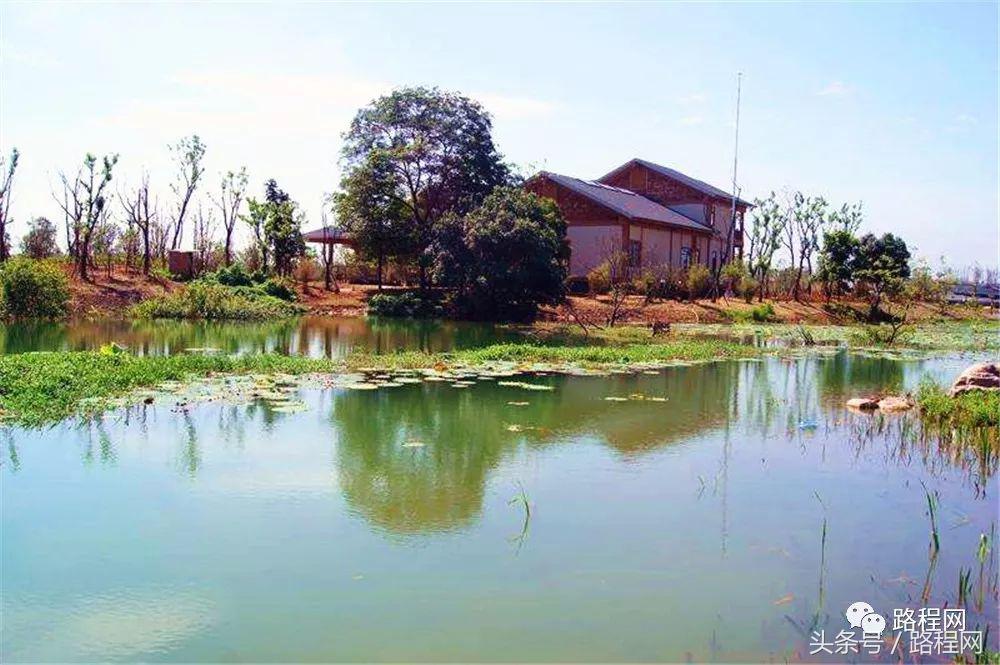 河北露营基地前景,中国露营营地市场规模