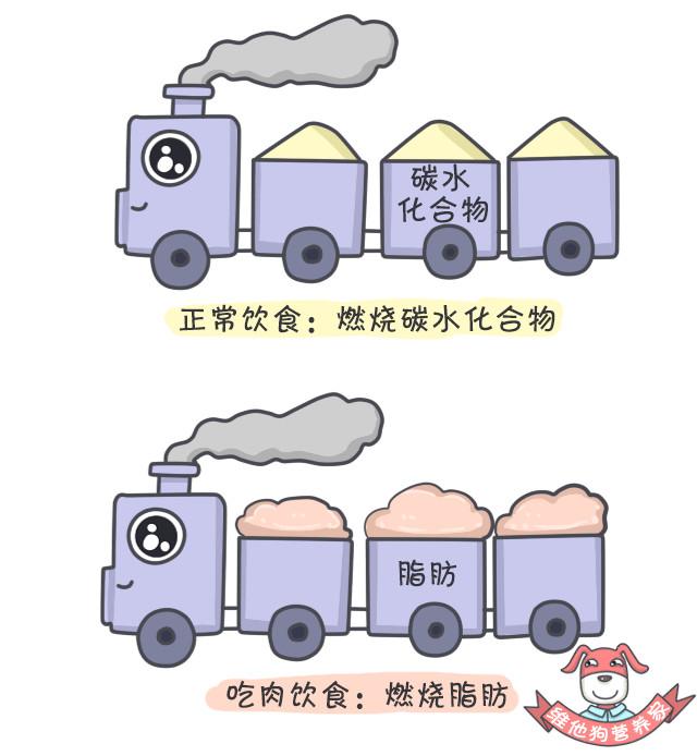 27万胖子用光吃不动的方法减了肥，你也一定想来试试