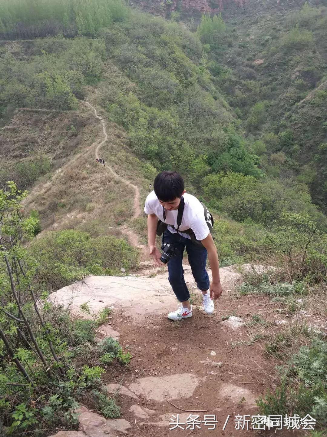 新密市九里山风景区摘槐花,新密超化九里山槐花林