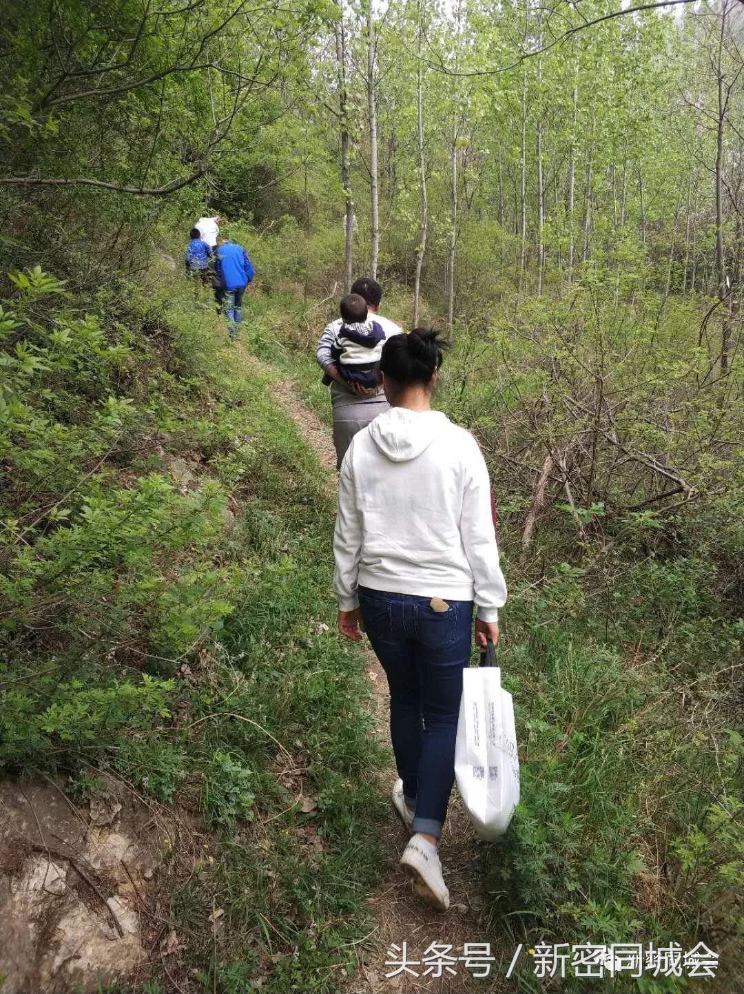 新密市九里山风景区摘槐花,新密超化九里山槐花林