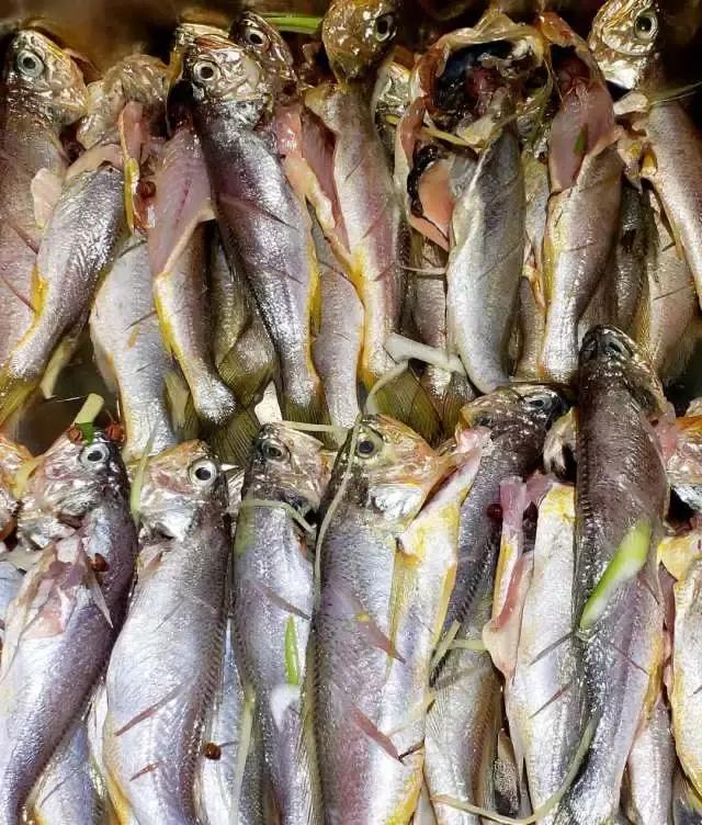 你与美食之间只有一堵墙的距离,你与海鲜的距离只差一个早市