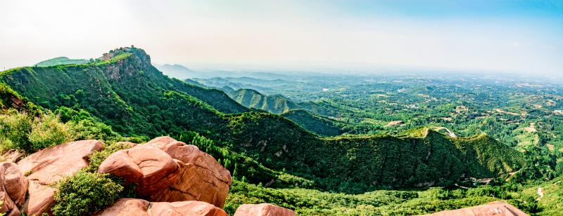 老家大槐树花开新密九里山