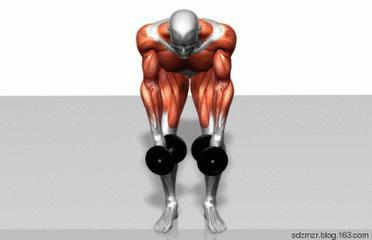 初学者如何用哑铃健身训练,健身房肌肉哑铃