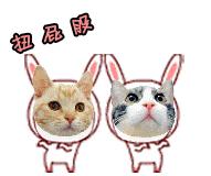 猫咪不喜欢穿戴项圈怎么办,猫咪会习惯穿衣服吗