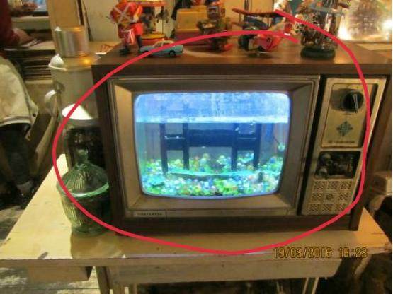 旧电视显像管改鱼缸,老电视机改装鱼缸