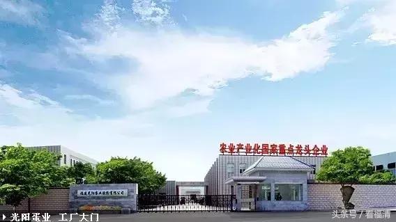 福清上市公司,福清市上市公司有几家