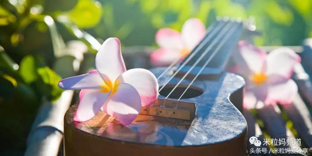 夏威夷怎么跨岛旅游的,夏威夷何时旅游最好