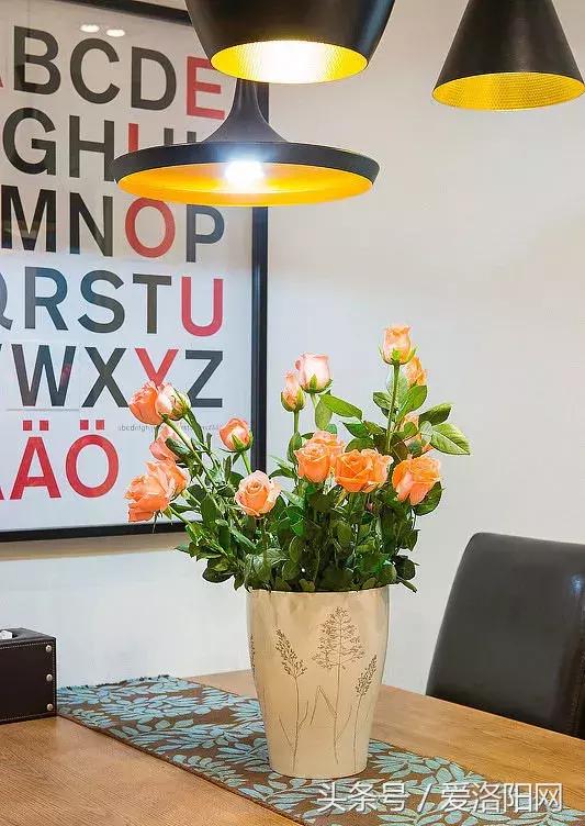 看了别人装修的房子感觉很漂亮,看到别人的家装修漂亮