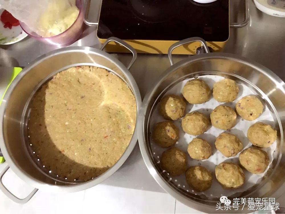 如何自制幼犬去泪痕狗粮视频教程,怎么给狗自制狗粮器