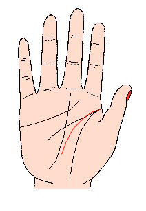 教你如何精准的看自己手相,自己对照图看自己的手相