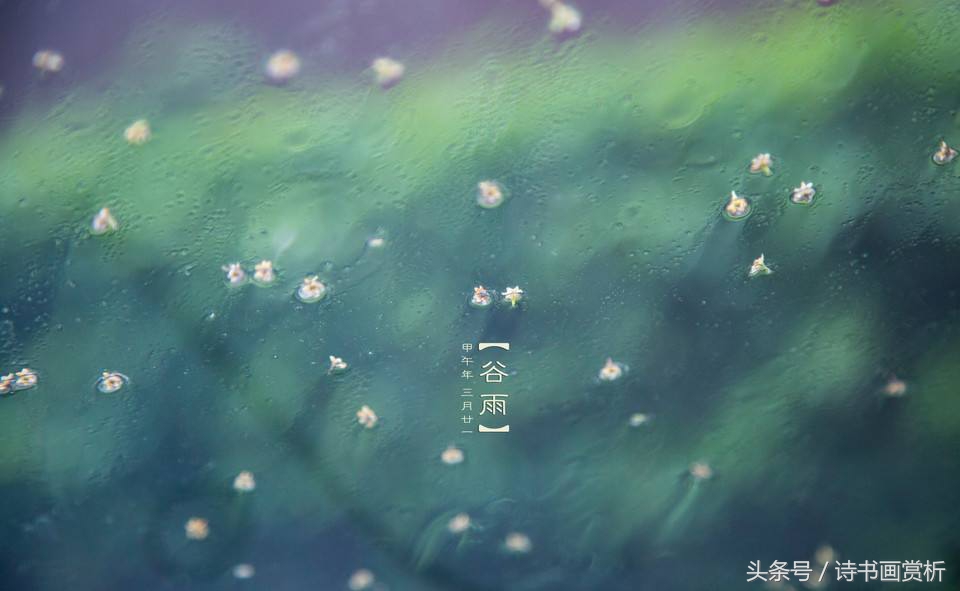 雨洗一城花，西窗谷雨茶今日谷雨，送你五首谷雨小诗……