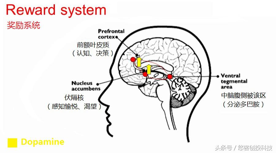 你敢来，我就敢告诉你，为什么刷抖音会上瘾会中毒？