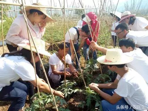 这家企业新模式，让农资店老板收入翻几倍加盟还送核心技术！