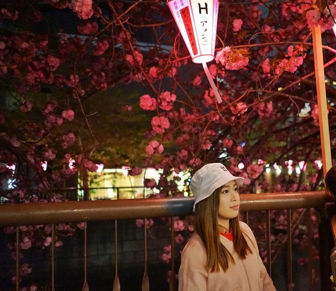 妯辫姳瀛ｅ幓鏃ユ湰涓滀含鏃呮父,涓滀含涓ゅぉ鏆磋蛋涔嬫梾