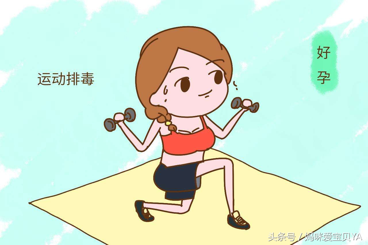 科学备孕调理提升精子质量,科学备孕最好的方法