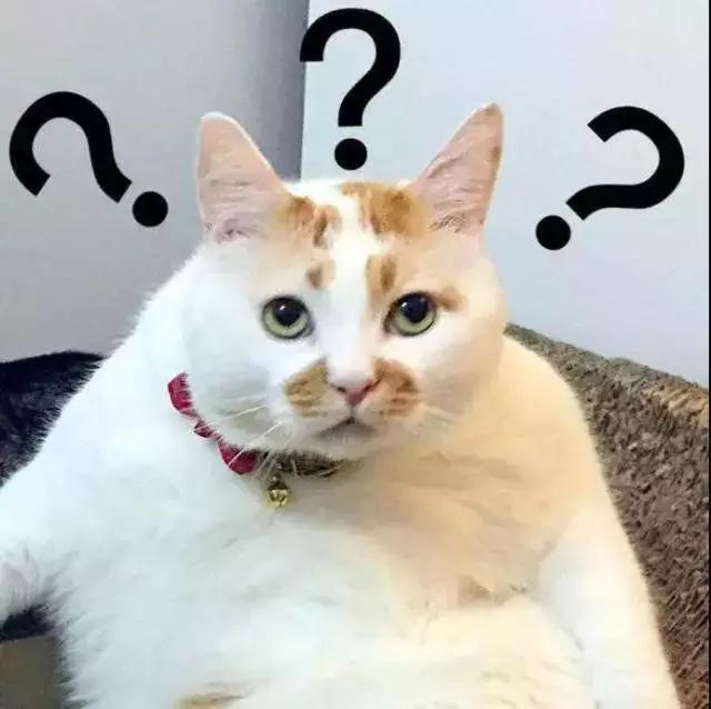 带一个gucci包回国需要交税么,女孩背一千和一万的包