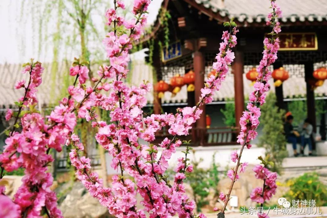 兴台古镇景区开放了吗,喜讯南庄添一处国家aaa级旅游景区