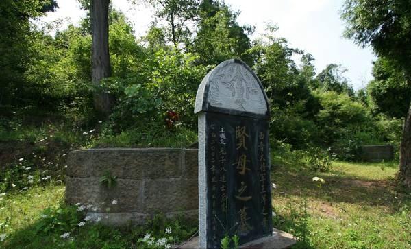 王家人的历史,关于王家人的视频