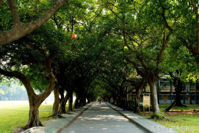 阴道竟然如此美丽