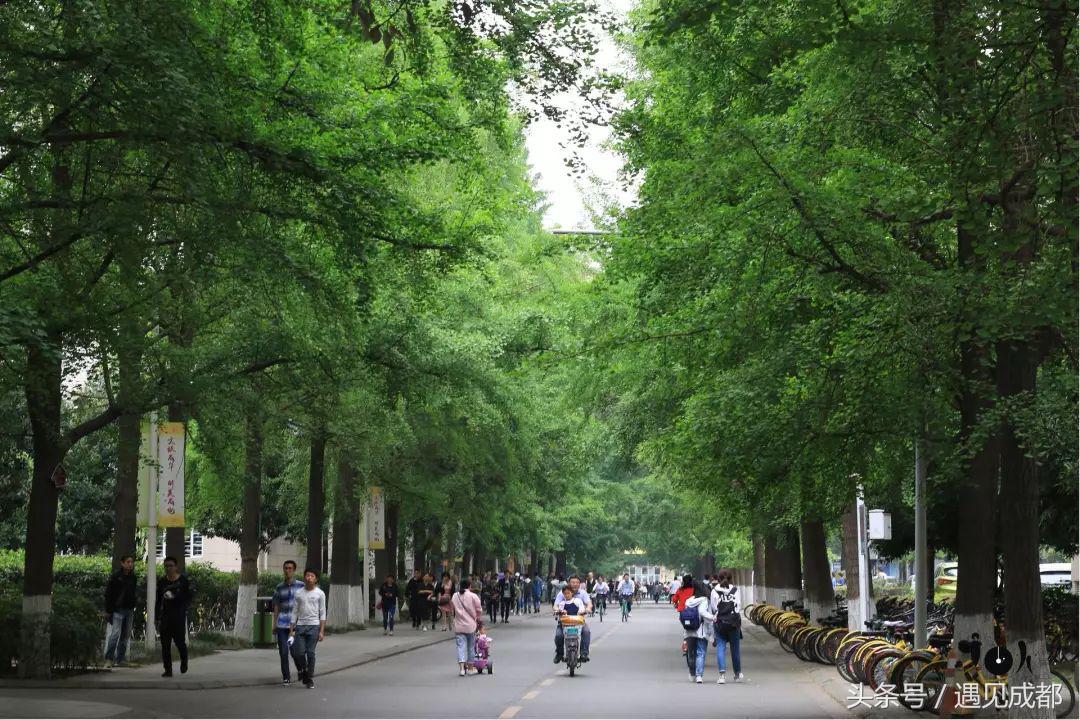 你离开了成都，却把“胃”留在了建设路