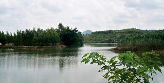 广西南宁钓鱼钓点,广西最新钓鱼技巧