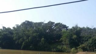 广西南宁钓鱼钓点,广西最新钓鱼技巧